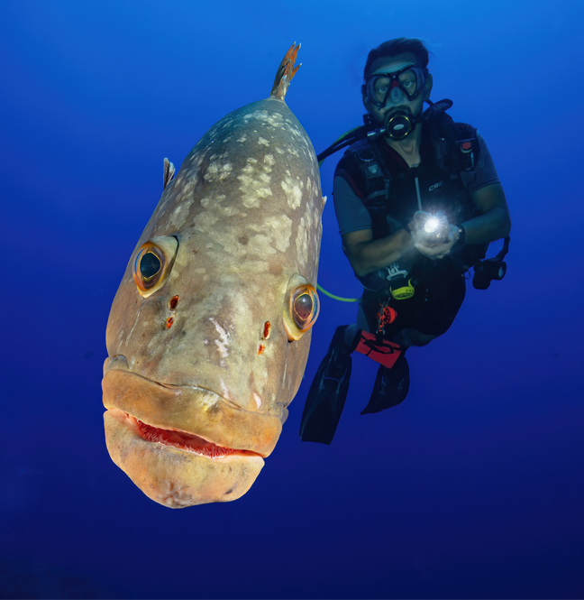 The underwater princess of Kas / Kaş ın sualtı prensesi