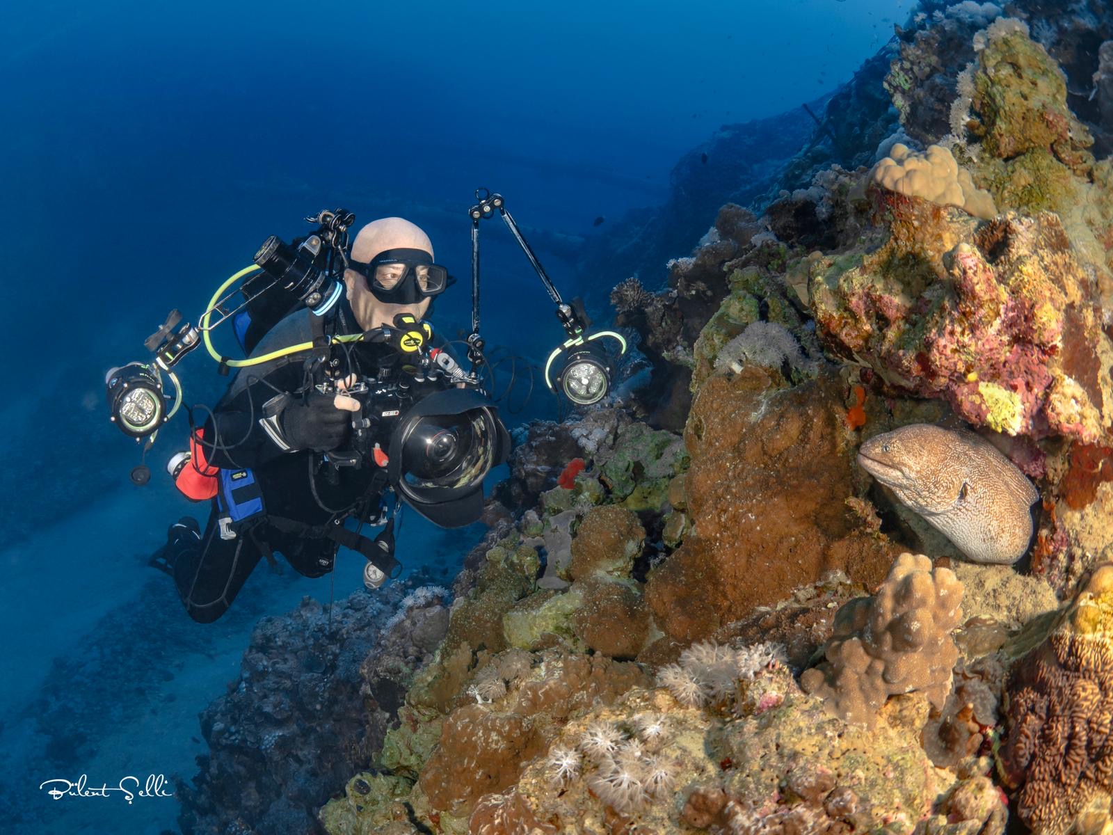 Underwater encounter